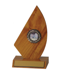 Shape Trophy <Br>18cm