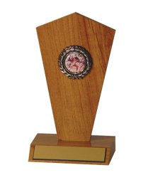 Shape Trophy <Br>18cm