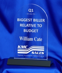 20.5cm Acrylic Award (Dome)