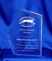 18cm Acrylic Award