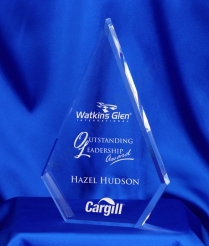 23cm Acrylic Award