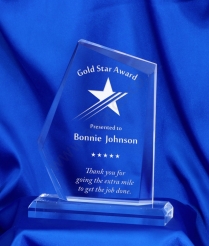 19.5cm Acrylic Award