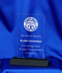 16cm Acrylic Award