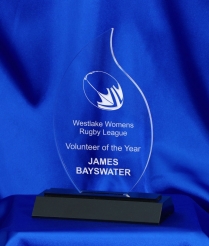 18cm Acrylic Award