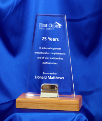 24.5cm Nickel Base Acrylic Award