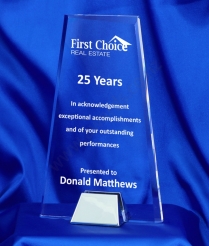 22cm Nickel Base Acrylic Award