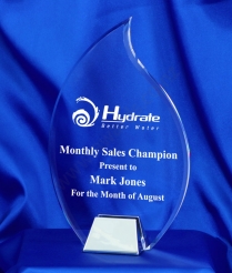 22cm Nickel Base Acrylic Award