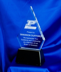 Acrylic Award  with Weighted Base 27cm