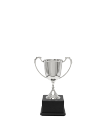 Nickel Sports Cup <Br>14.5cm Miniature Cup