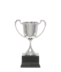Nickel Sports Cup 24cm