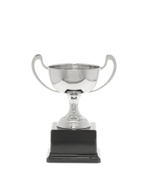 Champagne Silver Cup 17.5cm