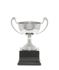 Champagne Nickel Cup 19.5cm
