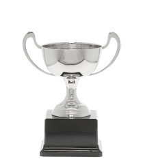 Champagne Nickel Cup 21cm