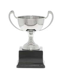 Champagne Nickel Cup 25cm