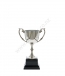 Nickel Plated Classic Cup <Br>14.5cm Miniature Cup