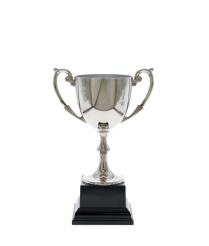 Nickel Plated Classic Cup 22cm