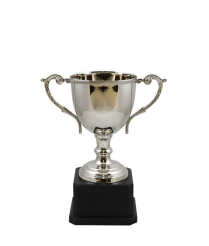 Norfolk Nickel Cup  20cm