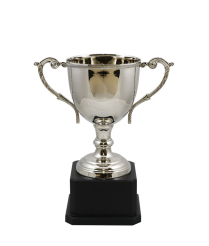 Norfolk Nickel Cup  24cm