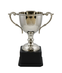 Norfolk Nickel Cup 28.5cm