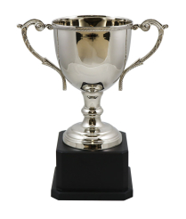 Norfolk Nickel Cup 35cm