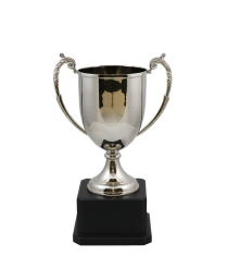 Cheshire Nickel Cup 26cm