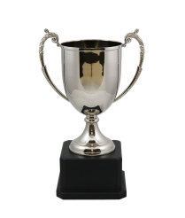 Cheshire Nickel Cup 29cm