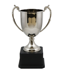 Cheshire Nickel Cup 38cm