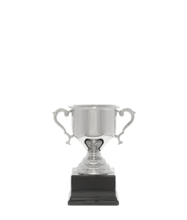 Challenge Nickel Cup 16.5cm