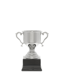 Challenge Nickel Cup 19cm