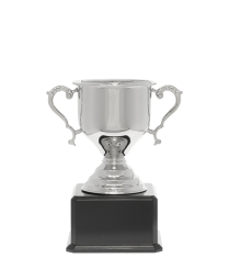 Challenge Nickel Cup 24cm