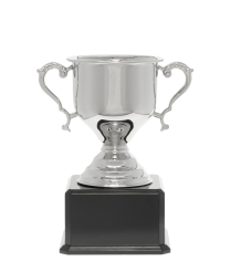Challenge Nickel Cup 28.5cm