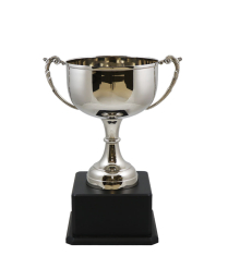 Derby Nickel Cup 29cm