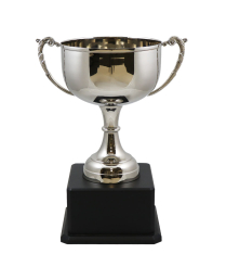 Derby Nickel Cup 33.5cm