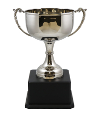 Derby Nickel Cup 41.5cm