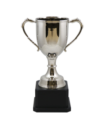 Oxford Nickel Cup 32cm