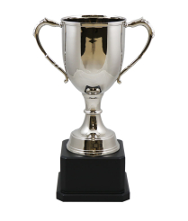 Oxford Nickel Cup  40cm