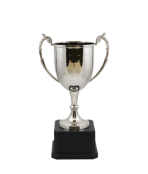 Sussex Nickel Cup 30cm