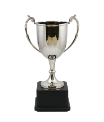 Sussex Nickel Cup 33.5cm