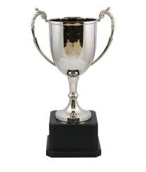Sussex Nickel Cup 43cm
