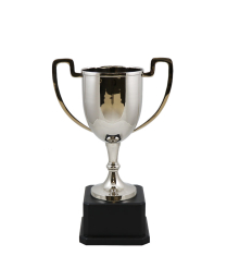 Dorset Nickel Cup 29.5cm