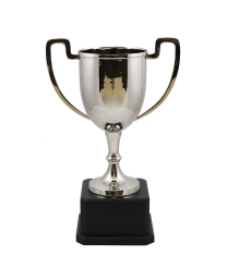 Dorset Nickel Cup 33.5cm