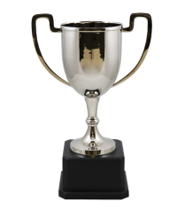 Dorset Nickel Cup 42cm