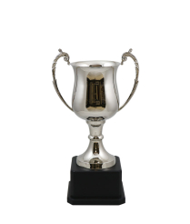 Cornwall Nickel Cup 28cm
