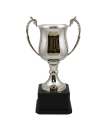 Cornwall Nickel Cup 36cm