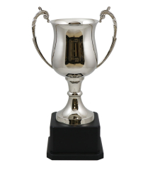 Cornwall Nickel Cup 42.5cm