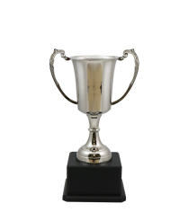Kendal Nickel Cup 31.5cm
