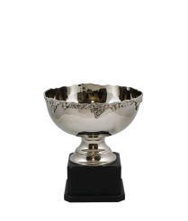 Newport Nickel Cup 18cm