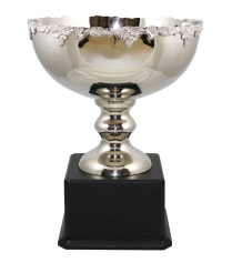 Newport Nickel Cup 45cm