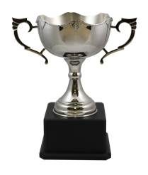 Prescot Nickel Cup 40cm