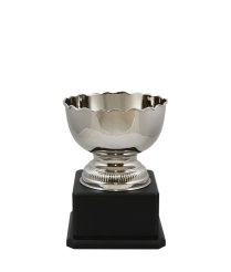Richmond Nickel Cup 18cm